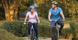 DLF Privana West – 4 BHK Luxury Residences & Penthouses